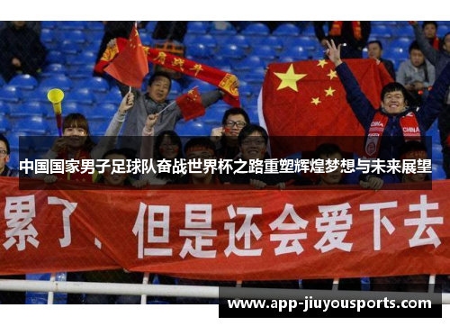 中国国家男子足球队奋战世界杯之路重塑辉煌梦想与未来展望